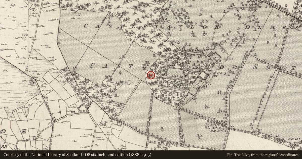 Ordnance Survey six-inch map, 2nd edition (1888–1915) covering the location of Children's burial ground, Castletaylor South, County Galway, with a pin at the register's coordinates