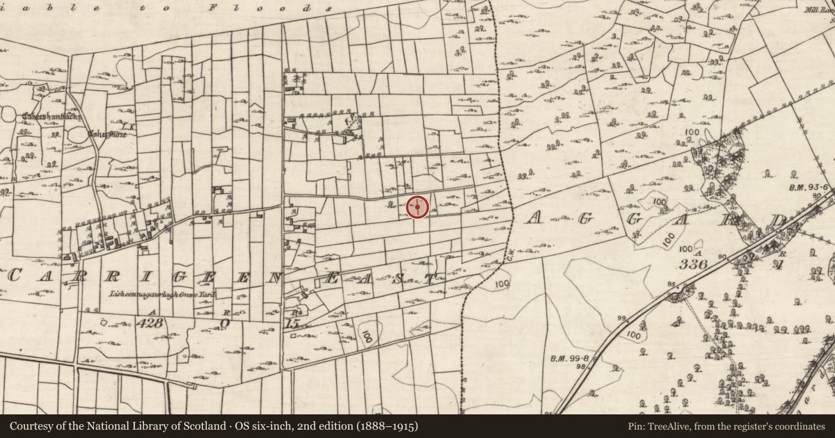 Ordnance Survey six-inch map, 2nd edition (1888–1915) covering the location of Ringfort - cashel, Carrigeen East, County Galway, with a pin at the register's coordinates
