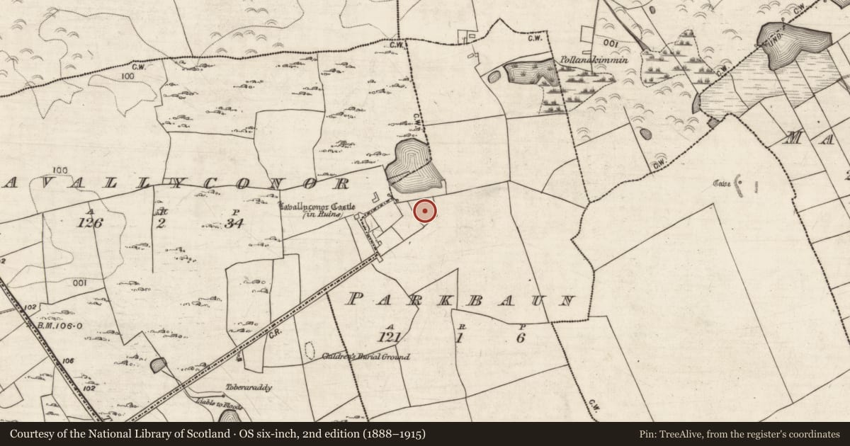 Ordnance Survey six-inch map, 2nd edition (1888–1915) covering the location of Building, Parkbaun, County Galway, with a pin at the register's coordinates