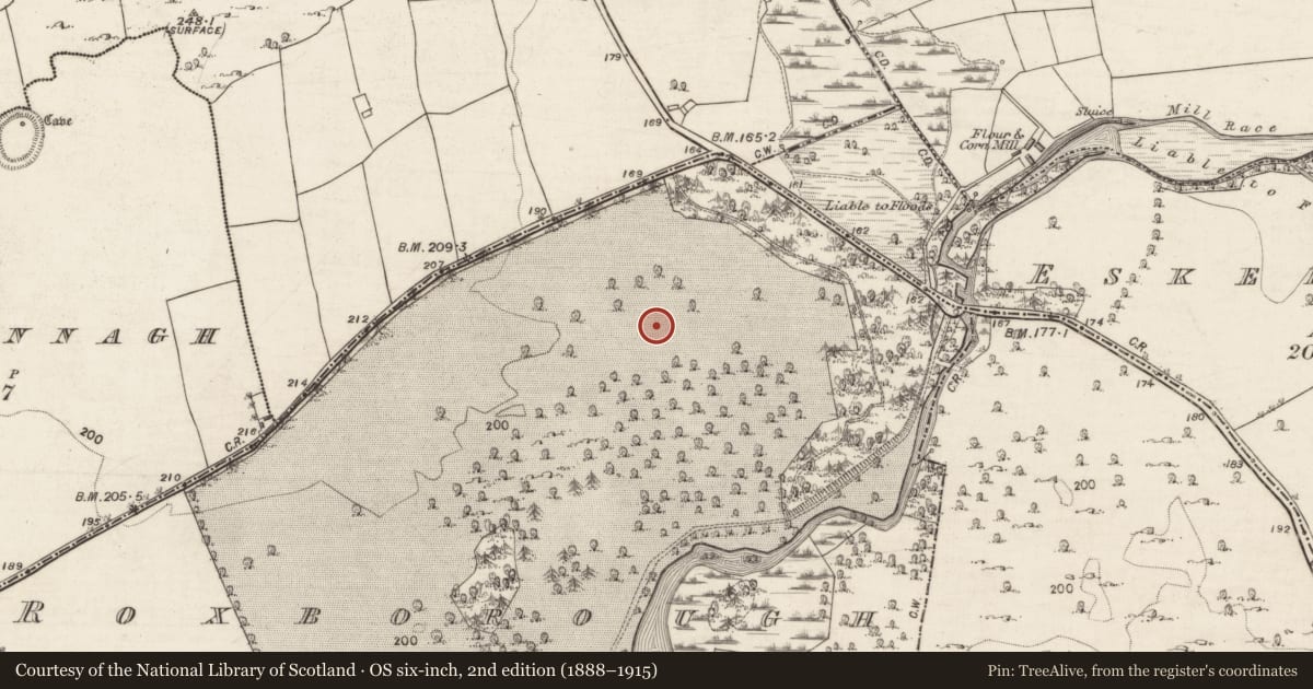 Ordnance Survey six-inch map, 2nd edition (1888–1915) covering the location of Ringfort - rath, Roxborough, County Galway, with a pin at the register's coordinates