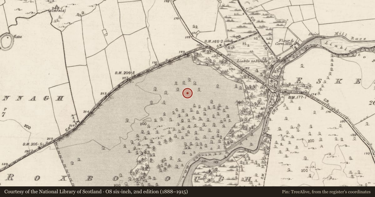 Ordnance Survey six-inch map, 2nd edition (1888–1915) covering the location of Souterrain, Roxborough, County Galway, with a pin at the register's coordinates