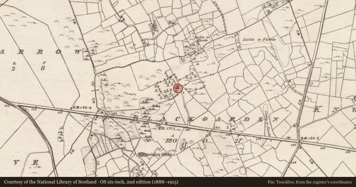 Ordnance Survey six-inch map, 2nd edition (1888–1915) covering the location of Stone head, Blackgarden, County Galway, with a pin at the register's coordinates