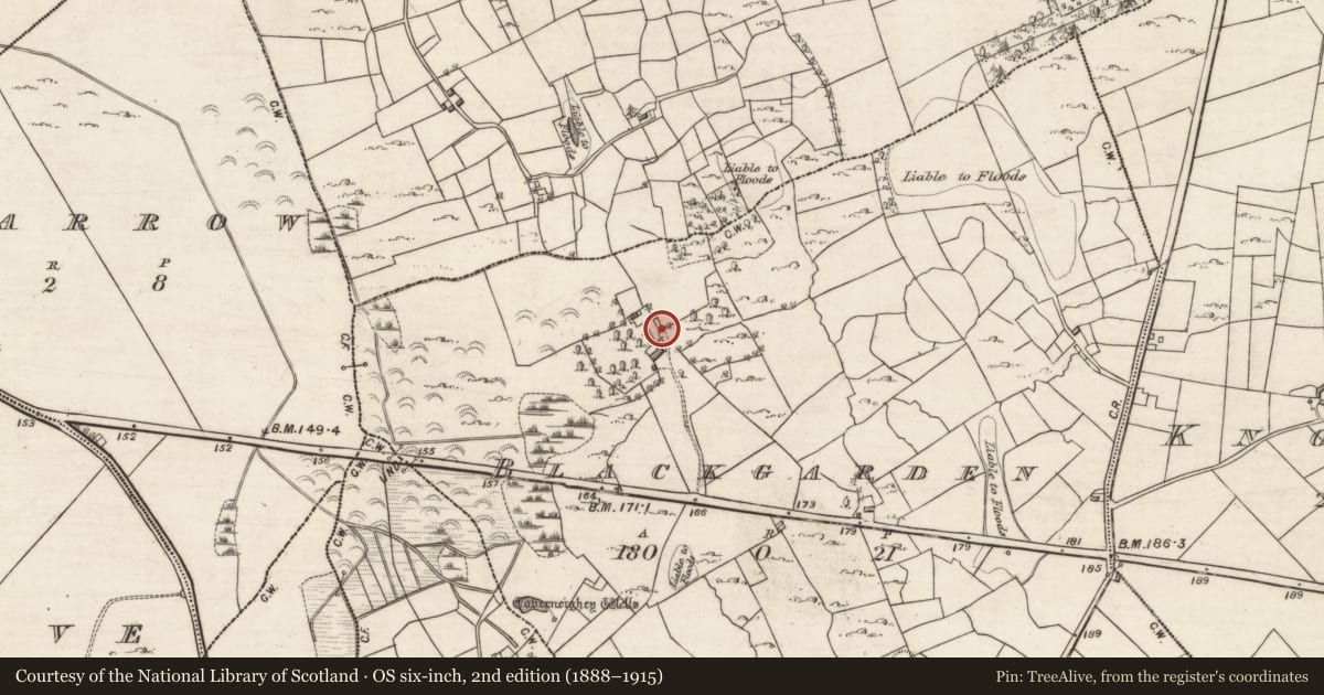 Ordnance Survey six-inch map, 2nd edition (1888–1915) covering the location of Architectural fragment, Blackgarden, County Galway, with a pin at the register's coordinates
