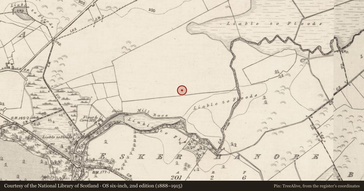 Ordnance Survey six-inch map, 2nd edition (1888–1915) covering the location of Enclosure, Ballygarraun, County Galway, with a pin at the register's coordinates
