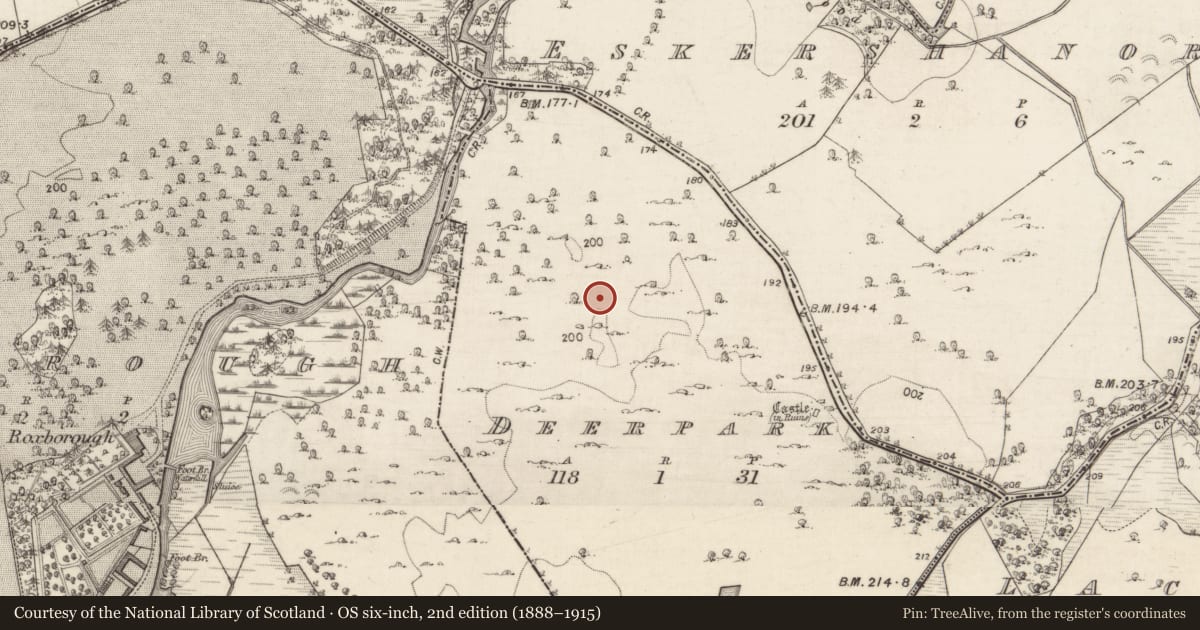 Ordnance Survey six-inch map, 2nd edition (1888–1915) covering the location of Field system, Deerpark, County Galway, with a pin at the register's coordinates