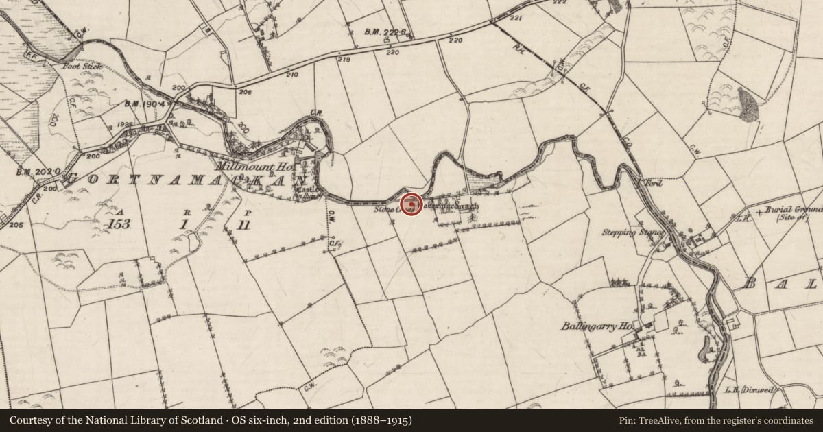 Ordnance Survey six-inch map, 2nd edition (1888–1915) covering the location of Cross-slab, Ballingarry, County Galway, with a pin at the register's coordinates