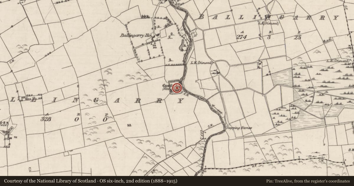 Ordnance Survey six-inch map, 2nd edition (1888–1915) covering the location of Castle - unclassified, Ballingarry, County Galway, with a pin at the register's coordinates