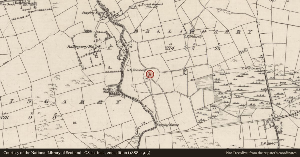 Ordnance Survey six-inch map, 2nd edition (1888–1915) covering the location of Kiln - lime, Ballingarry, County Galway, with a pin at the register's coordinates