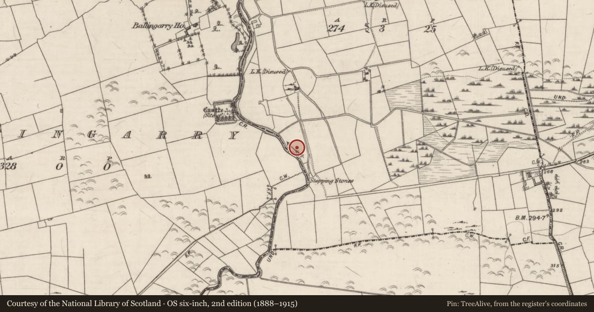 Ordnance Survey six-inch map, 2nd edition (1888–1915) covering the location of Megalithic structure, Ballingarry, County Galway, with a pin at the register's coordinates