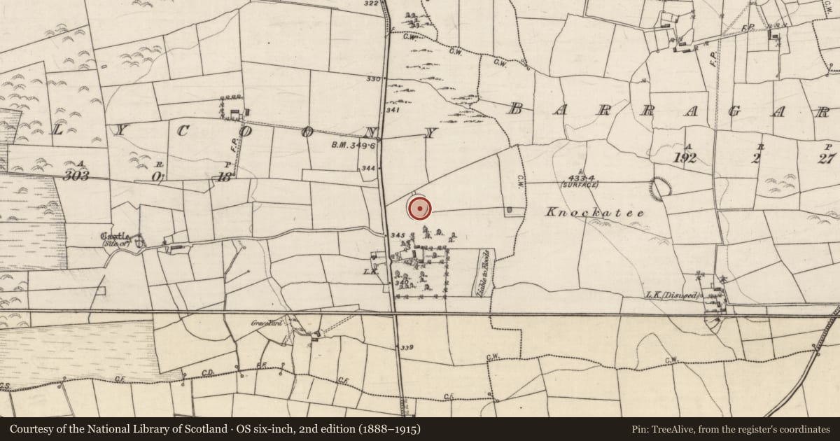 Ordnance Survey six-inch map, 2nd edition (1888–1915) covering the location of Ringfort - cashel, Ballycoony, County Galway, with a pin at the register's coordinates