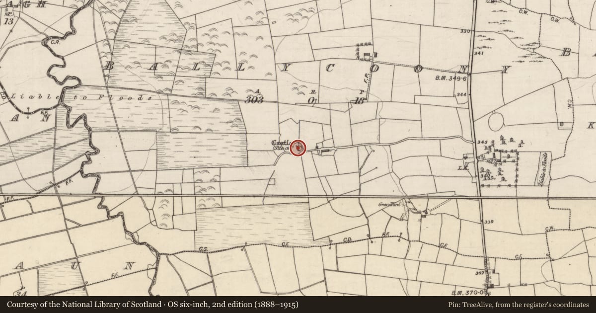 Ordnance Survey six-inch map, 2nd edition (1888–1915) covering the location of Castle - unclassified, Ballycoony, County Galway, with a pin at the register's coordinates