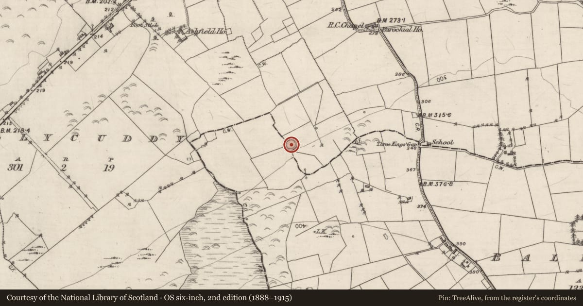 Ordnance Survey six-inch map, 2nd edition (1888–1915) covering the location of Ringfort - rath, Ballynacurragh, Ballycuddy, County Galway, with a pin at the register's coordinates