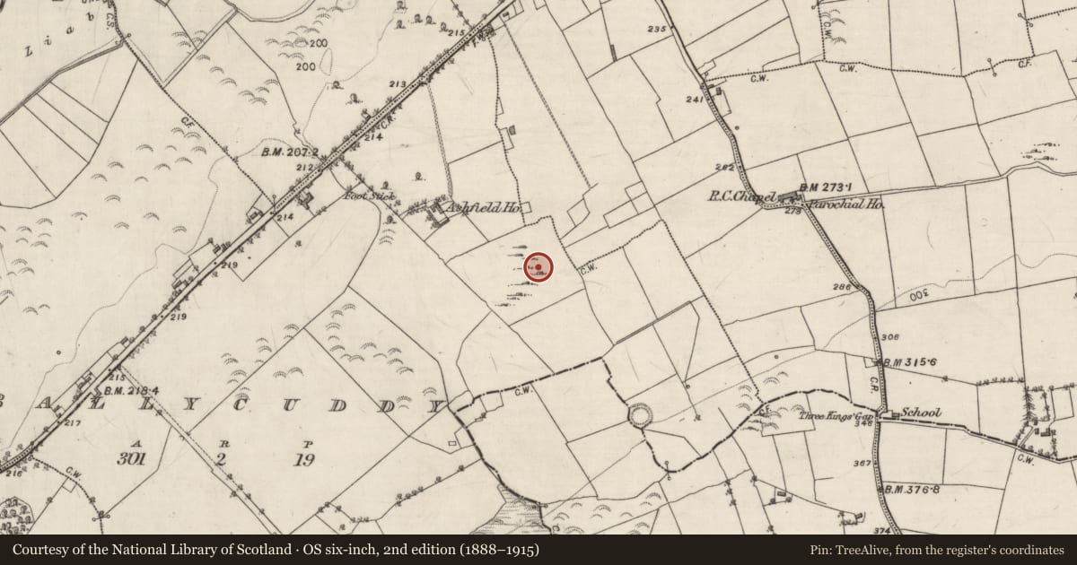 Ordnance Survey six-inch map, 2nd edition (1888–1915) covering the location of Chapel, Ballycuddy, County Galway, with a pin at the register's coordinates