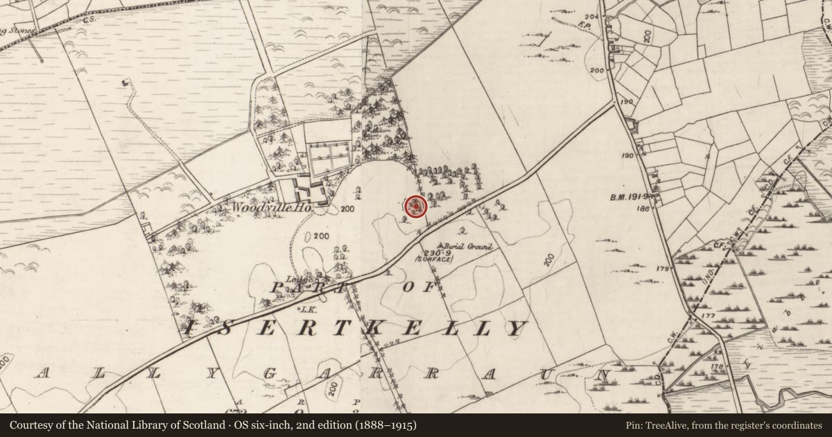 Ordnance Survey six-inch map, 2nd edition (1888–1915) covering the location of Designed landscape - tree-ring, Ballygarraun, County Galway, with a pin at the register's coordinates