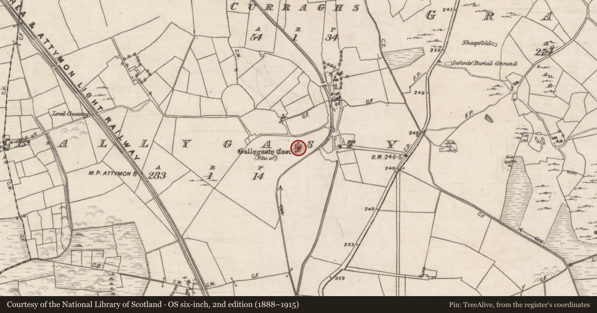Ordnance Survey six-inch map, 2nd edition (1888–1915) covering the location of Castle - unclassified, Ballygasty, County Galway, with a pin at the register's coordinates