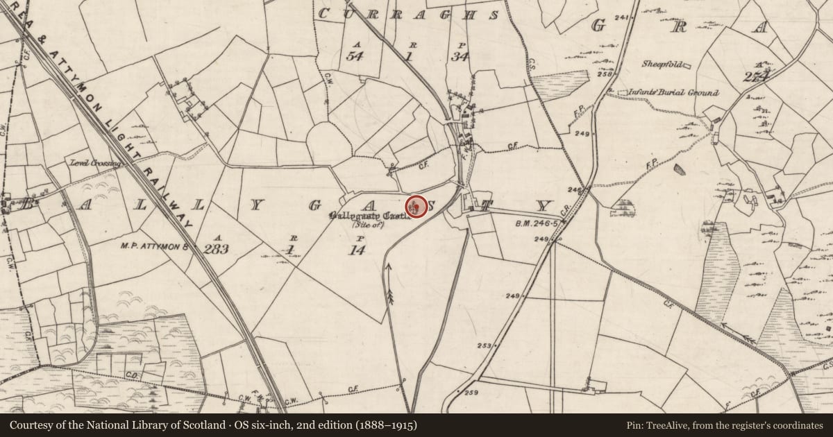 Ordnance Survey six-inch map, 2nd edition (1888–1915) covering the location of Bawn, Ballygasty, County Galway, with a pin at the register's coordinates