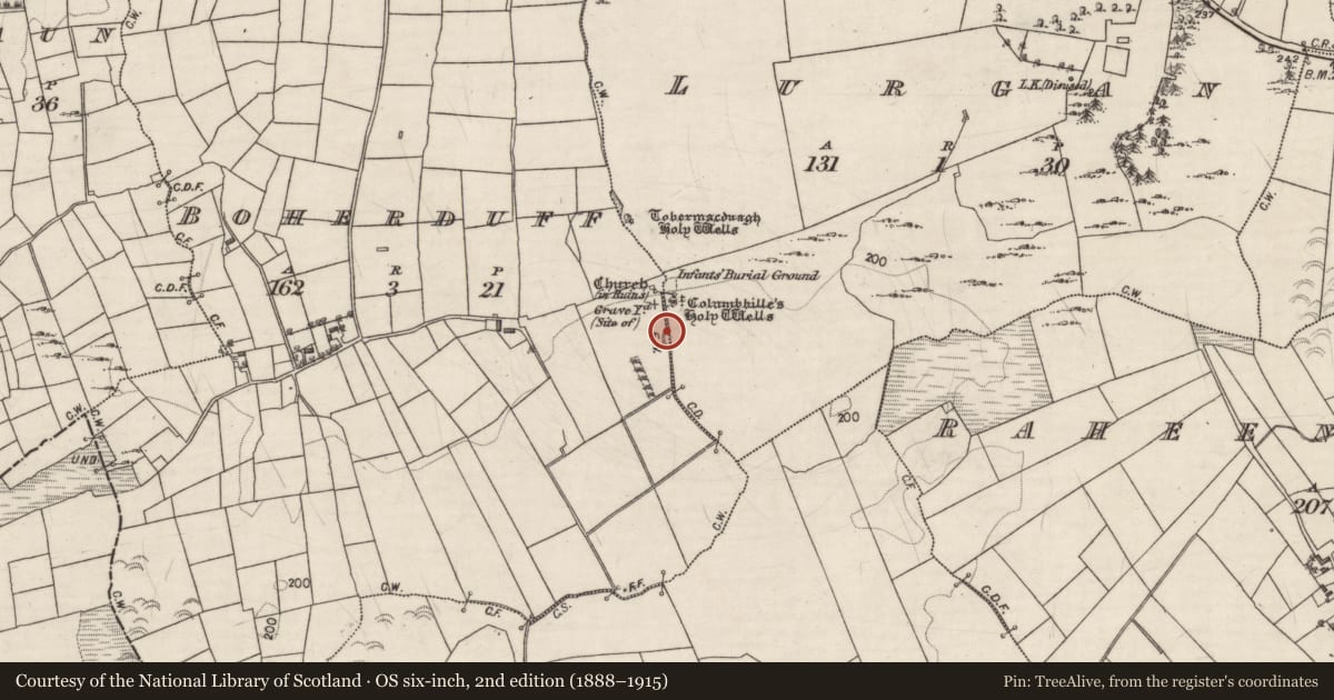Ordnance Survey six-inch map, 2nd edition (1888–1915) covering the location of Water mill - horizontal-wheeled, Boherduff, County Galway, with a pin at the register's coordinates