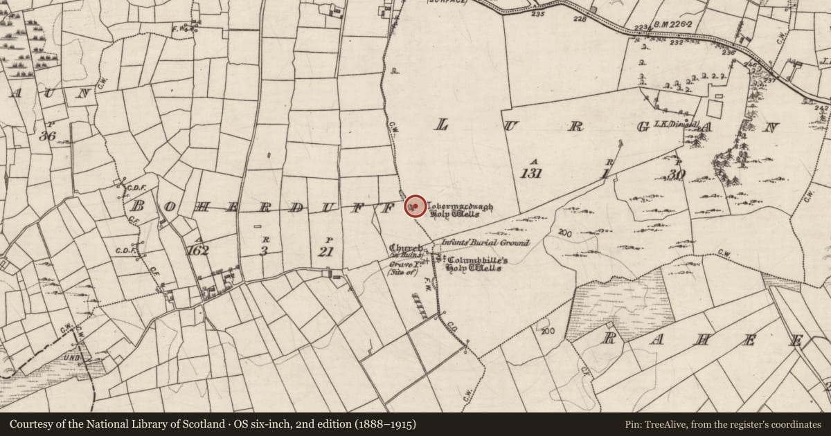 Ordnance Survey six-inch map, 2nd edition (1888–1915) covering the location of Ritual site - holy well, Lurgan, County Galway, with a pin at the register's coordinates