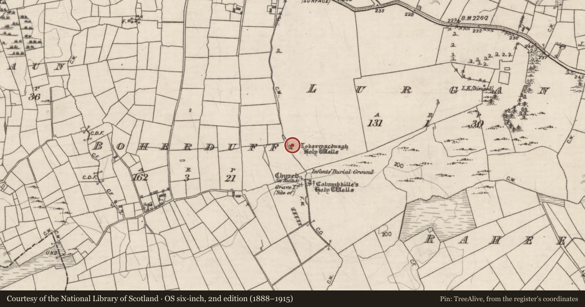 Ordnance Survey six-inch map, 2nd edition (1888–1915) covering the location of Bullaun stone, Lurgan, County Galway, with a pin at the register's coordinates