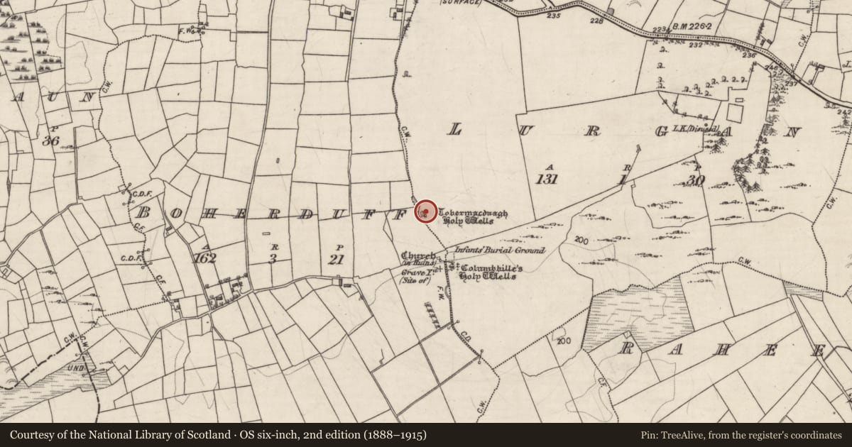 Ordnance Survey six-inch map, 2nd edition (1888–1915) covering the location of Ritual site - holy tree/bush, Lurgan, County Galway, with a pin at the register's coordinates