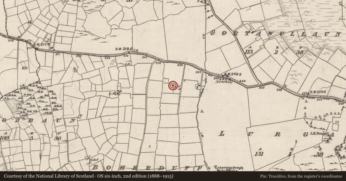Ordnance Survey six-inch map, 2nd edition (1888–1915) covering the location of Ringfort - rath, Boherduff, County Galway, with a pin at the register's coordinates