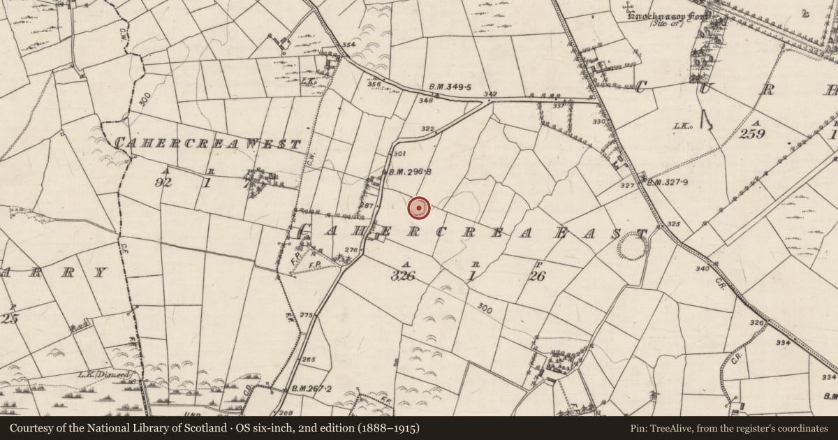 Ordnance Survey six-inch map, 2nd edition (1888–1915) covering the location of Ringfort - rath, Cahercrea East, County Galway, with a pin at the register's coordinates