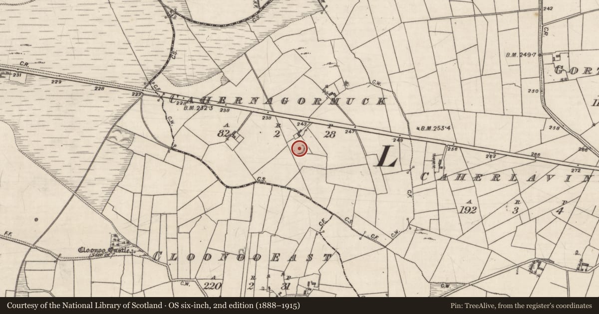 Ordnance Survey six-inch map, 2nd edition (1888–1915) covering the location of Ringfort - rath, Cahernagormuck, County Galway, with a pin at the register's coordinates