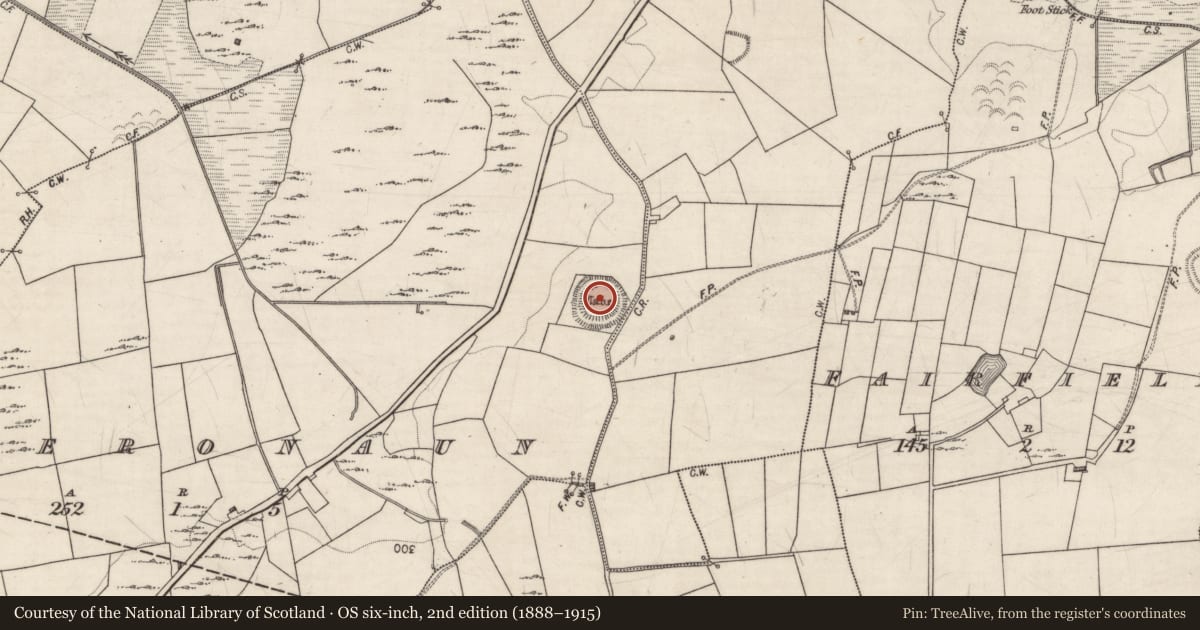 Ordnance Survey six-inch map, 2nd edition (1888–1915) covering the location of Souterrain, Caheronaun, County Galway, with a pin at the register's coordinates