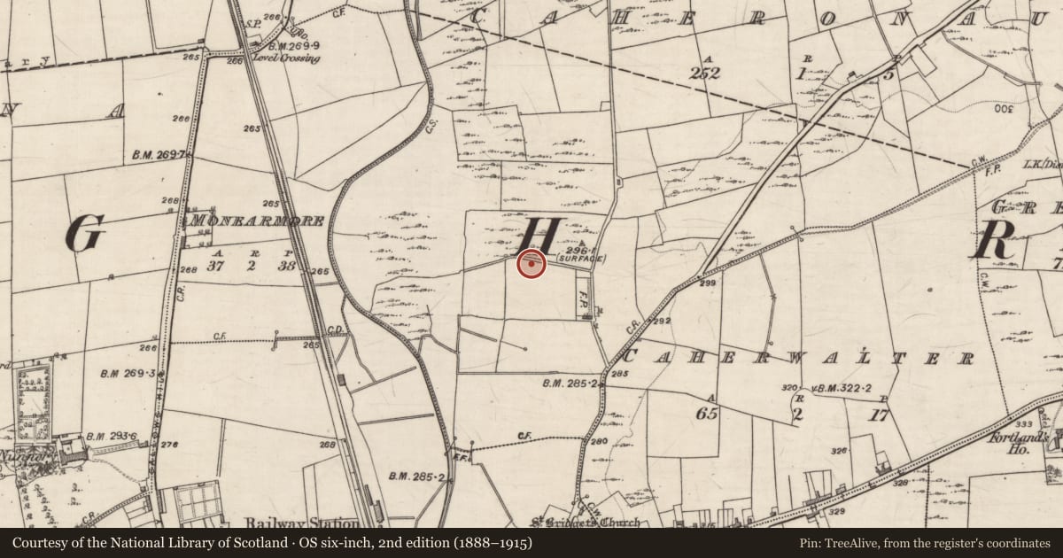 Ordnance Survey six-inch map, 2nd edition (1888–1915) covering the location of Kiln - lime, Caheronaun, County Galway, with a pin at the register's coordinates