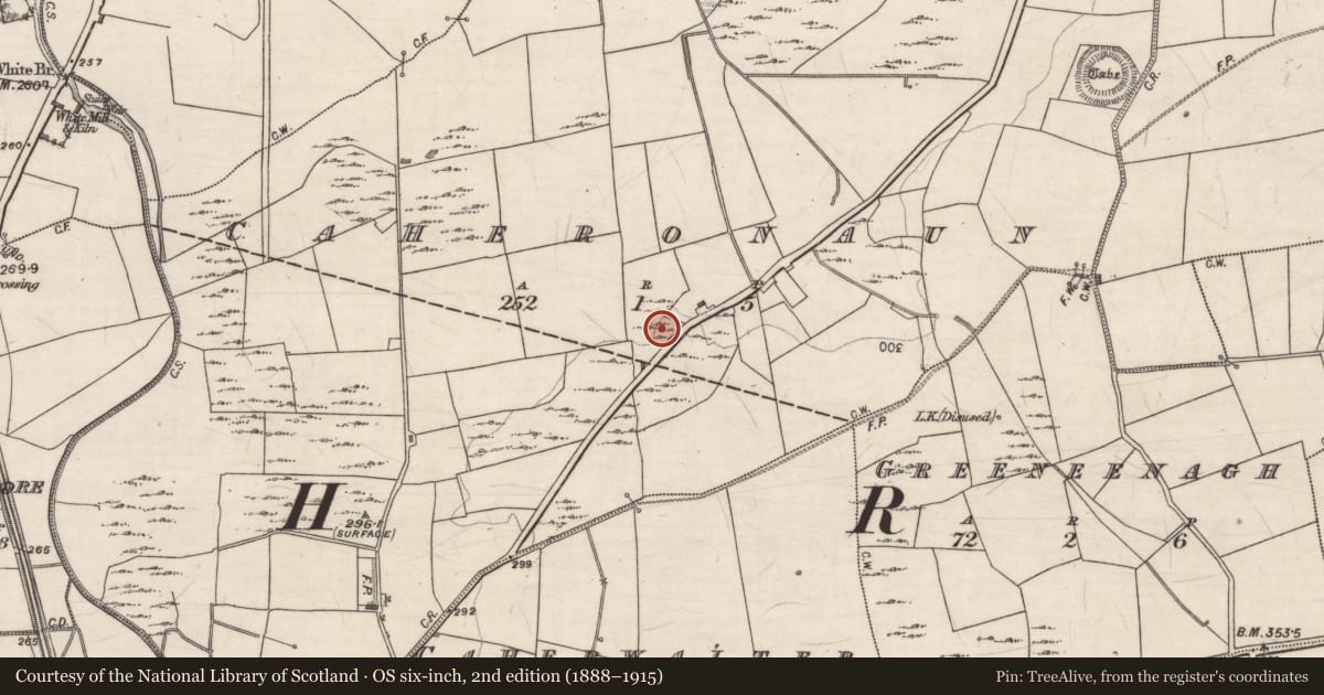 Ordnance Survey six-inch map, 2nd edition (1888–1915) covering the location of Kiln - lime, Caheronaun, County Galway, with a pin at the register's coordinates