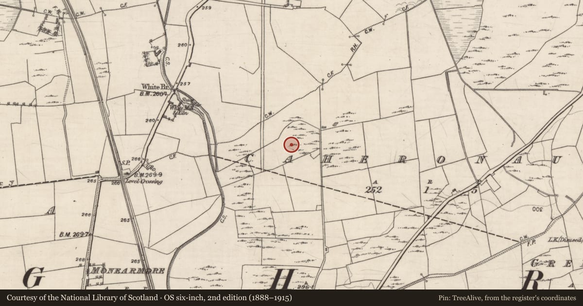 Ordnance Survey six-inch map, 2nd edition (1888–1915) covering the location of Kiln - lime, Caheronaun, County Galway, with a pin at the register's coordinates