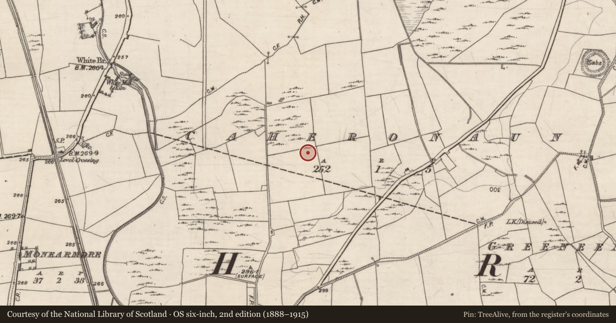 Ordnance Survey six-inch map, 2nd edition (1888–1915) covering the location of Kiln - lime, Caheronaun, County Galway, with a pin at the register's coordinates