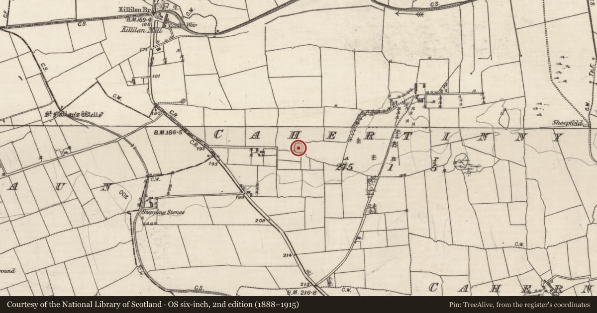 Ordnance Survey six-inch map, 2nd edition (1888–1915) covering the location of Ringfort - unclassified, Cahertinny, County Galway, with a pin at the register's coordinates