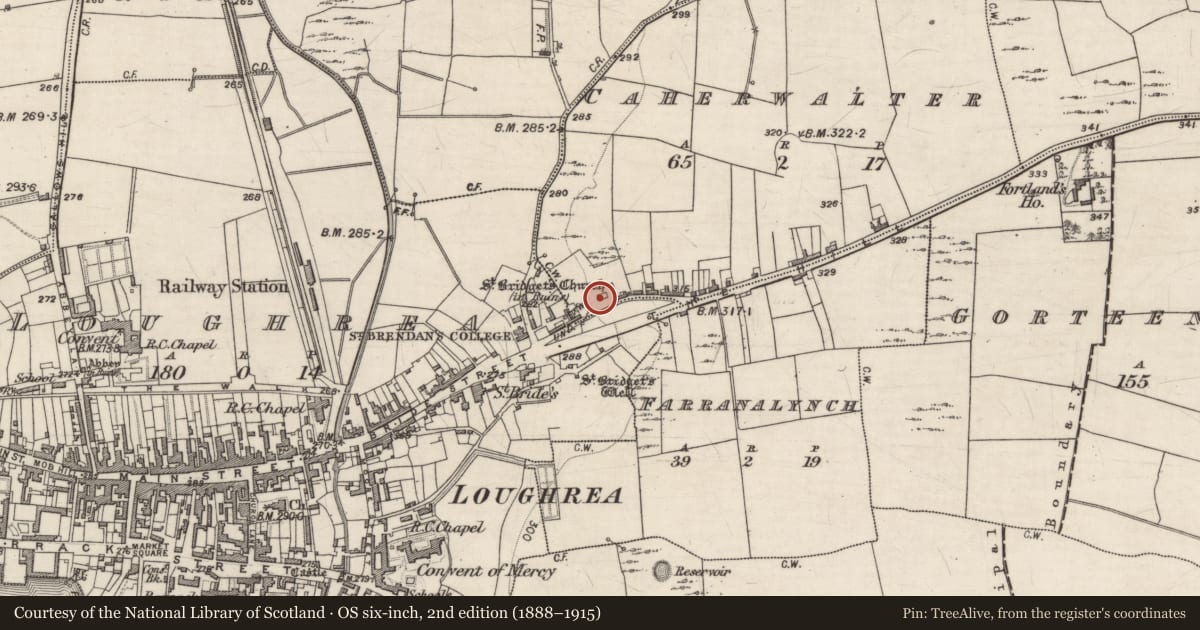 Ordnance Survey six-inch map, 2nd edition (1888–1915) covering the location of Church, Caherwalter, County Galway, with a pin at the register's coordinates