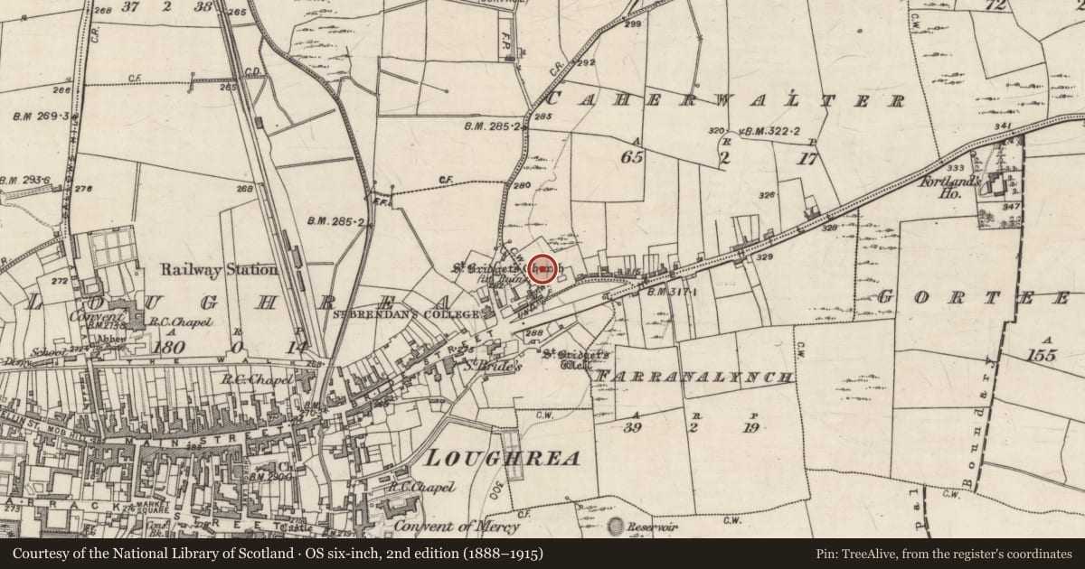 Ordnance Survey six-inch map, 2nd edition (1888–1915) covering the location of Graveyard, Caherwalter, County Galway, with a pin at the register's coordinates