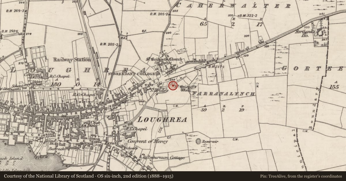 Ordnance Survey six-inch map, 2nd edition (1888–1915) covering the location of Ritual site - holy well, Loughrea, County Galway, with a pin at the register's coordinates