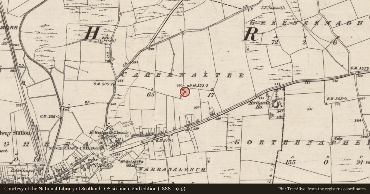 Ordnance Survey six-inch map, 2nd edition (1888–1915) covering the location of Ringfort - cashel, Caherwalter, County Galway, with a pin at the register's coordinates