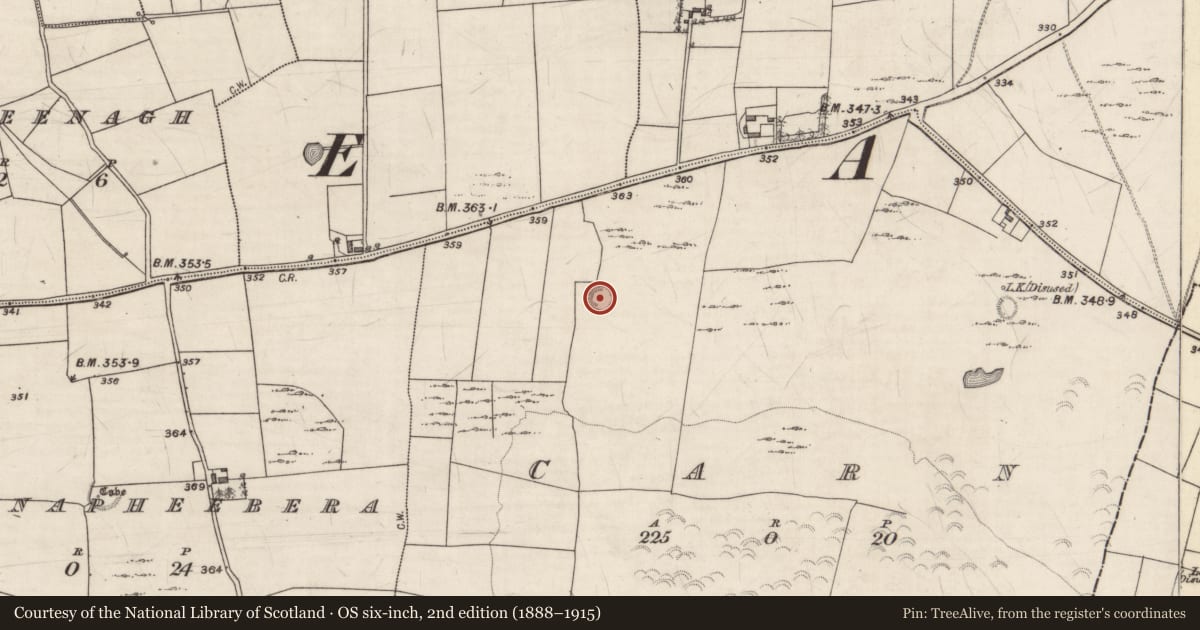 Ordnance Survey six-inch map, 2nd edition (1888–1915) covering the location of Ringfort - cashel, Carn, County Galway, with a pin at the register's coordinates