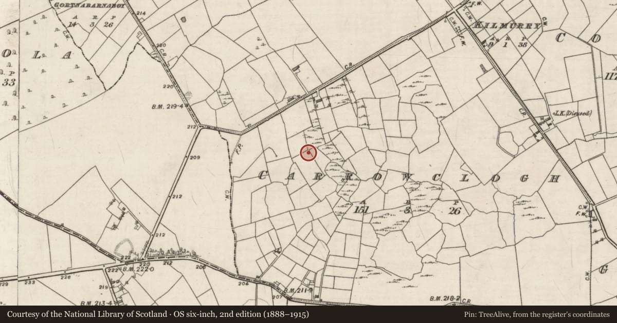 Ordnance Survey six-inch map, 2nd edition (1888–1915) covering the location of Ringfort - rath, Carrowclogh, County Galway, with a pin at the register's coordinates