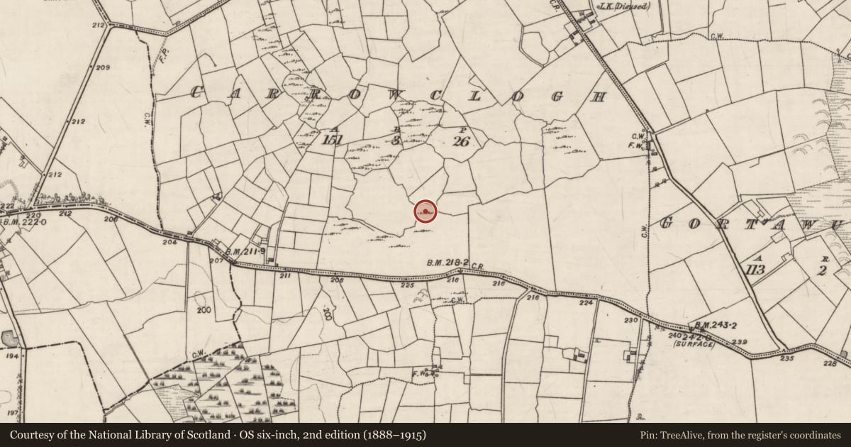 Ordnance Survey six-inch map, 2nd edition (1888–1915) covering the location of Ringfort - cashel, Carrowclogh, County Galway, with a pin at the register's coordinates
