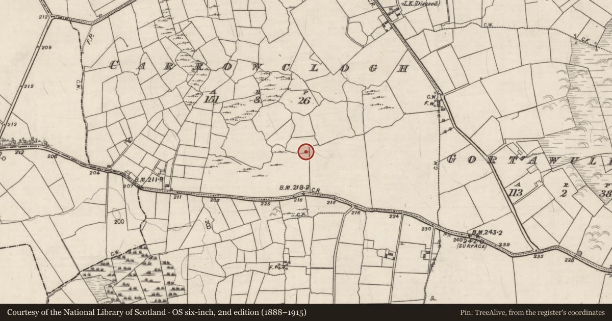Ordnance Survey six-inch map, 2nd edition (1888–1915) covering the location of Field system, Carrowclogh, County Galway, with a pin at the register's coordinates