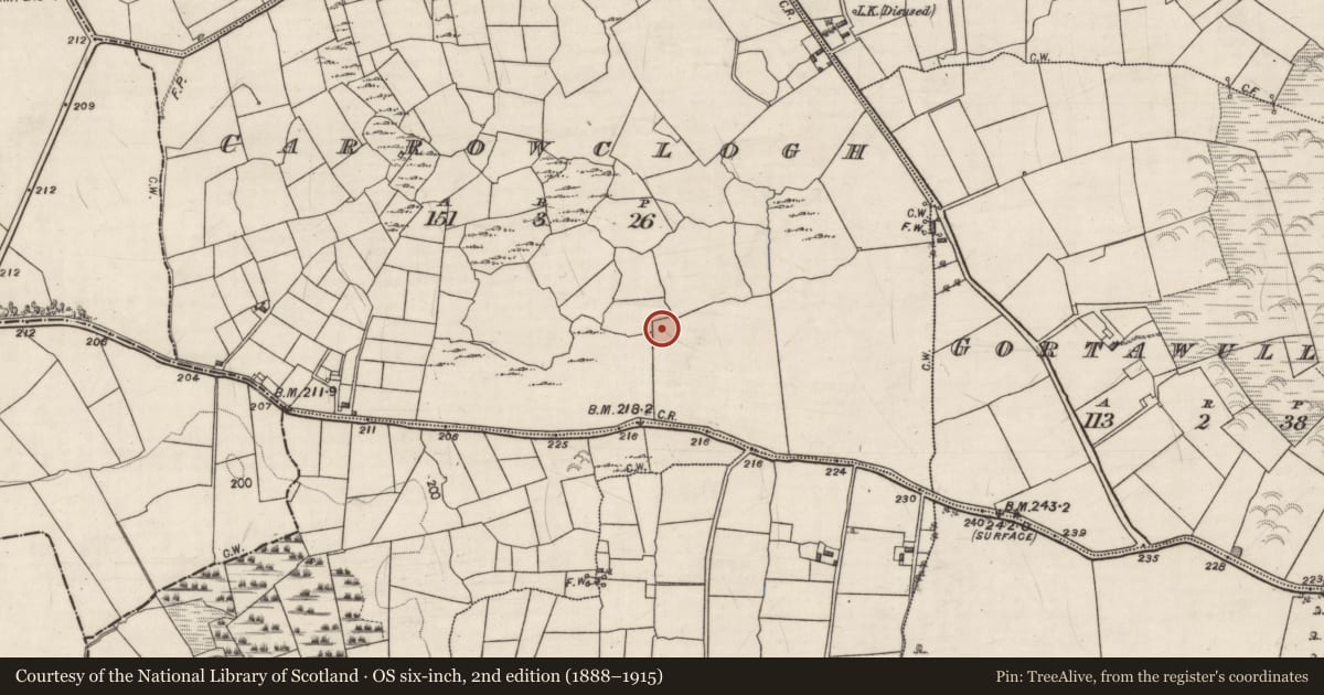 Ordnance Survey six-inch map, 2nd edition (1888–1915) covering the location of House - indeterminate date, Carrowclogh, County Galway, with a pin at the register's coordinates
