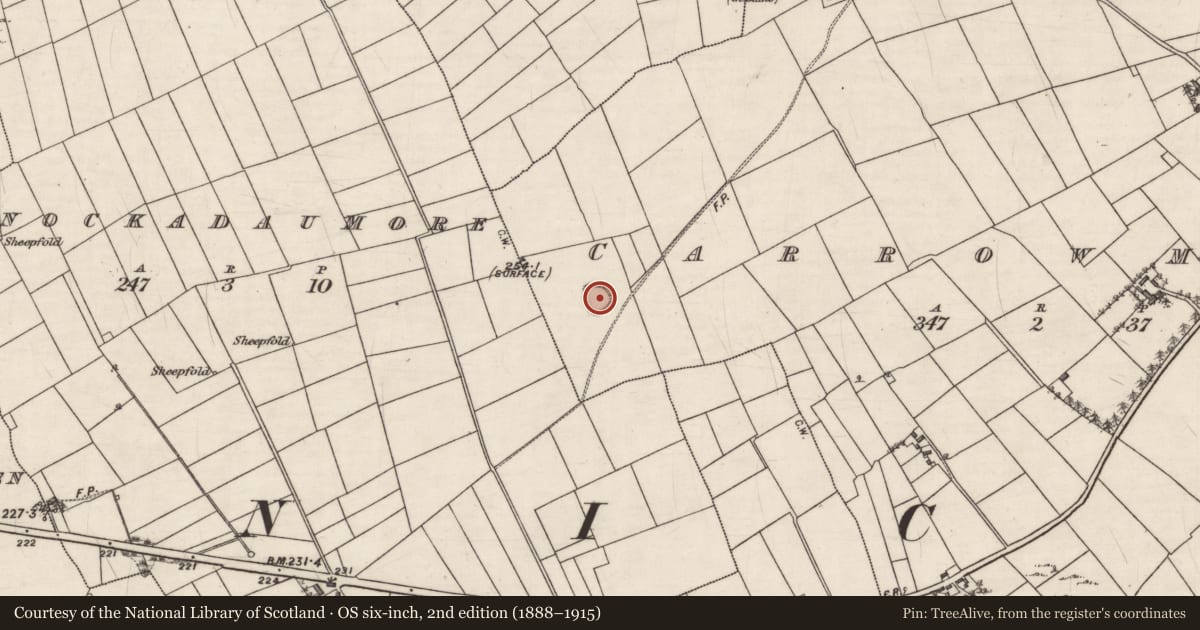 Ordnance Survey six-inch map, 2nd edition (1888–1915) covering the location of Souterrain, Carrowmore (Kilconickny ED ), County Galway, with a pin at the register's coordinates
