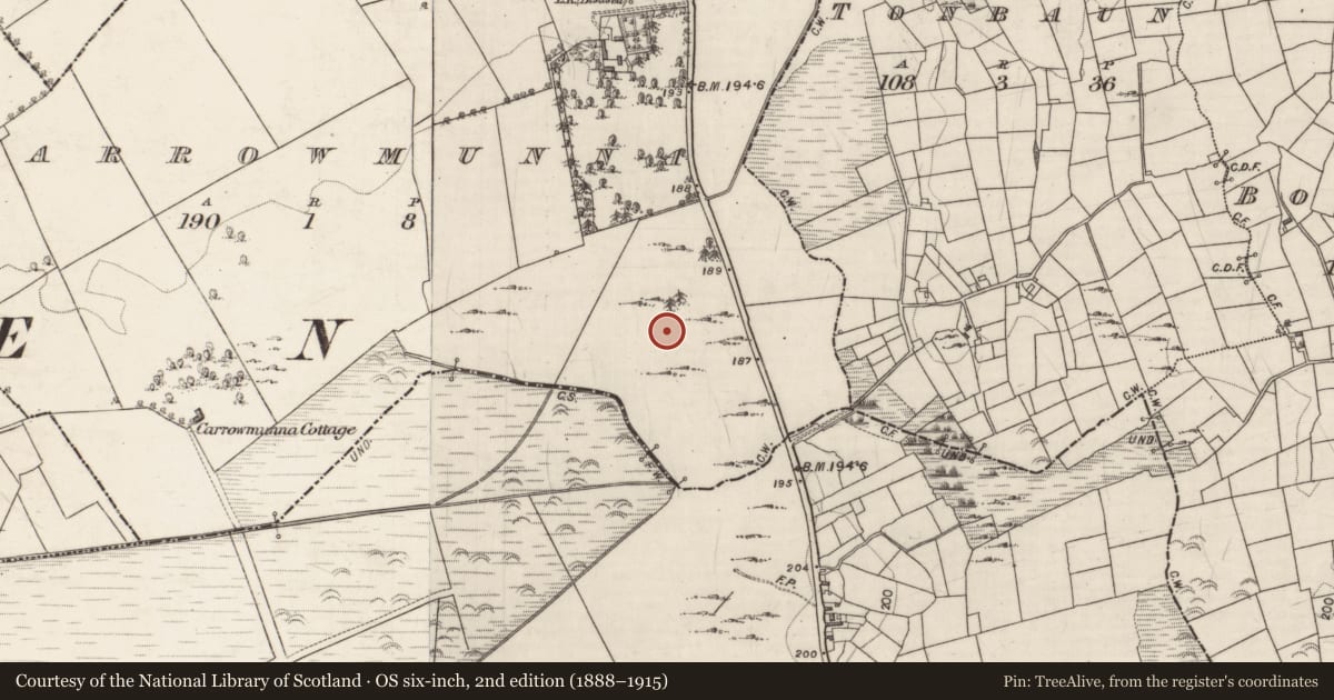 Ordnance Survey six-inch map, 2nd edition (1888–1915) covering the location of Ringfort - cashel, Carrowmunna, County Galway, with a pin at the register's coordinates