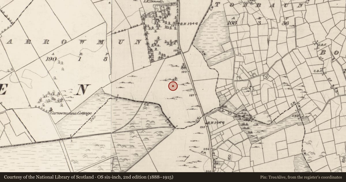 Ordnance Survey six-inch map, 2nd edition (1888–1915) covering the location of House - indeterminate date, Carrowmunna, County Galway, with a pin at the register's coordinates