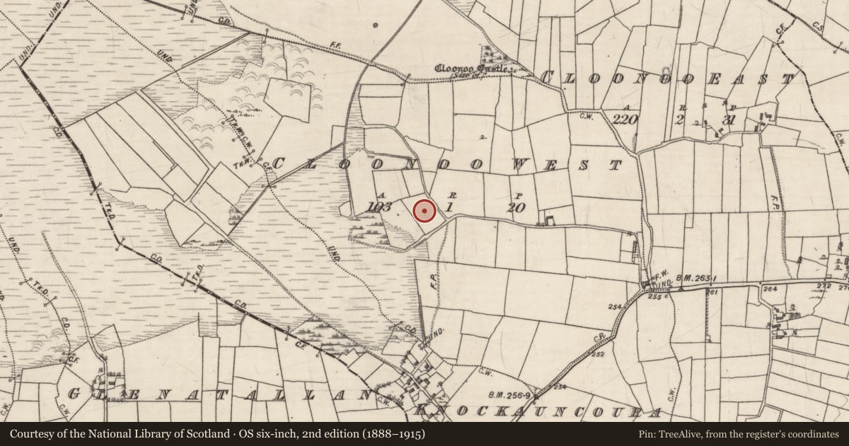 Ordnance Survey six-inch map, 2nd edition (1888–1915) covering the location of Children's burial ground, Cloonoo West, County Galway, with a pin at the register's coordinates