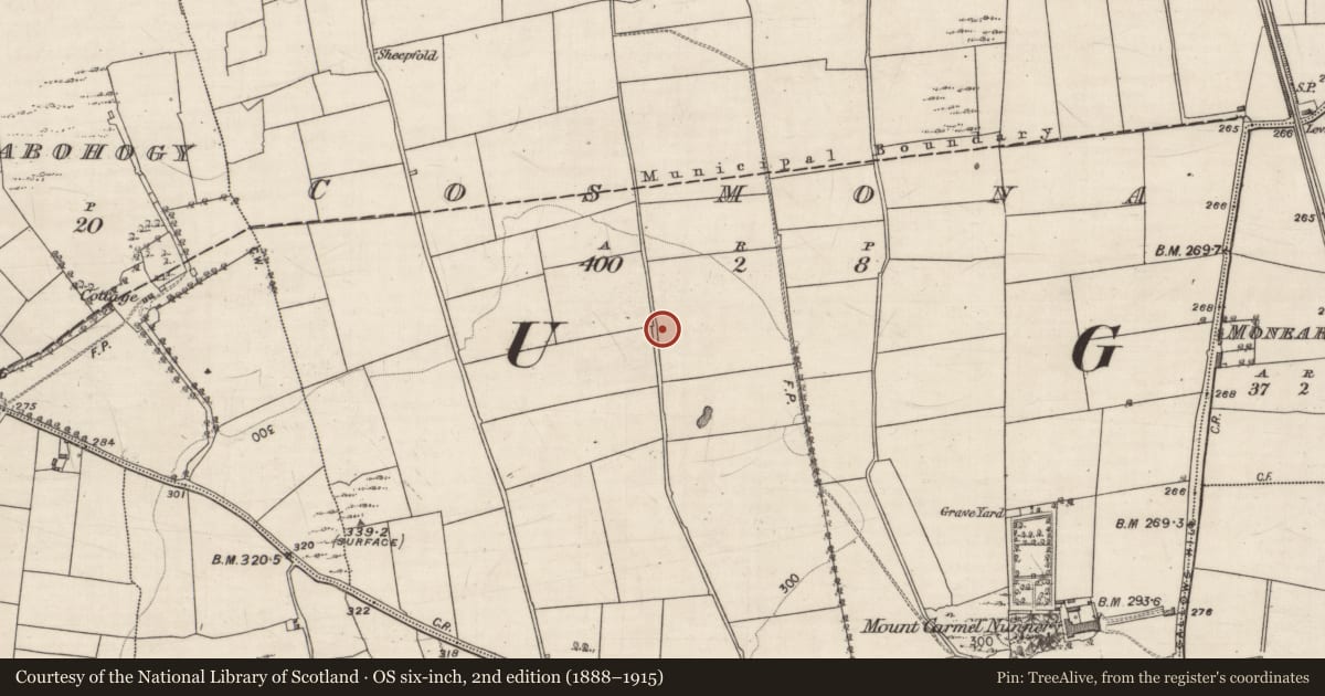 Ordnance Survey six-inch map, 2nd edition (1888–1915) covering the location of Kiln - lime, Cosmona, County Galway, with a pin at the register's coordinates