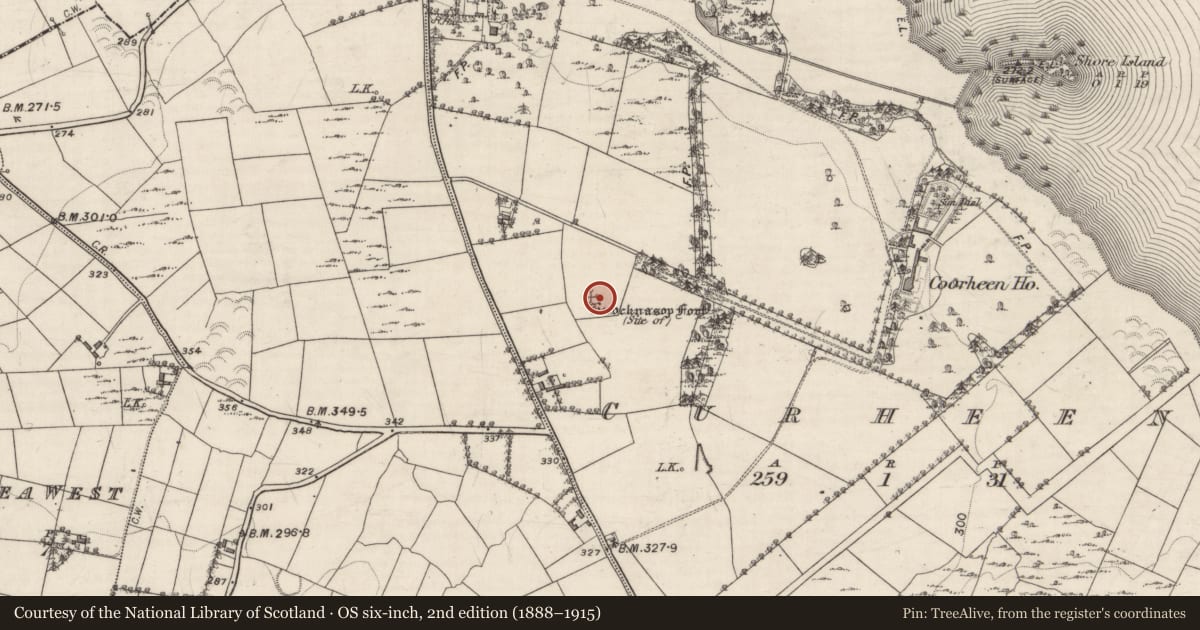 Ordnance Survey six-inch map, 2nd edition (1888–1915) covering the location of Ringfort - rath, Curheen, County Galway, with a pin at the register's coordinates
