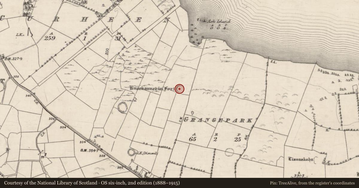 Ordnance Survey six-inch map, 2nd edition (1888–1915) covering the location of Ringfort - rath, Curheen, County Galway, with a pin at the register's coordinates