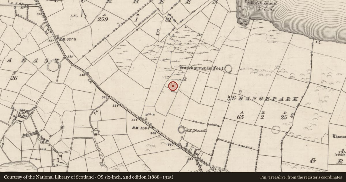 Ordnance Survey six-inch map, 2nd edition (1888–1915) covering the location of Field boundary, Curheen, County Galway, with a pin at the register's coordinates